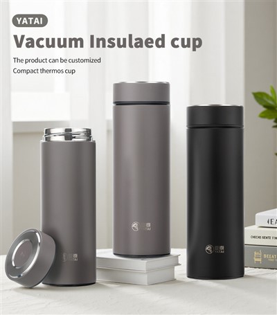 420mL/520mL kahekihiline vaakumisolatsiooniga pudel -Y5008